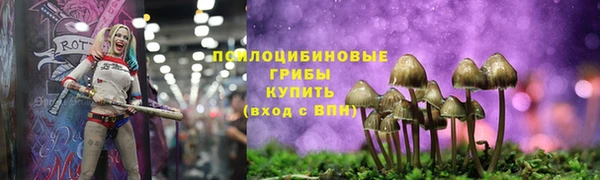 МДПВ Нея
