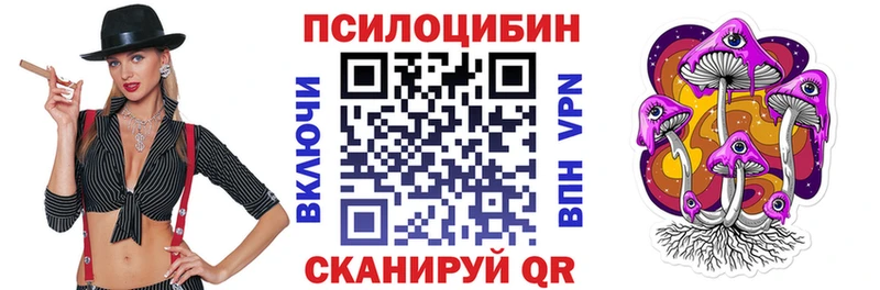 где купить наркоту Щучье Псилоцибиновые грибы ЛСД